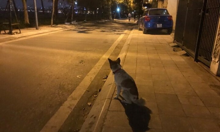 Hàng quán đóng cửa, đường ven hồ Tây vắng vẻ bất ngờ