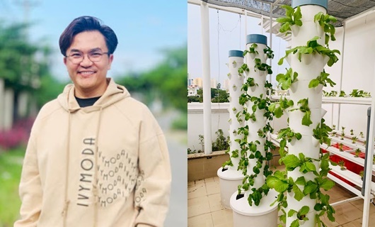 Cận cảnh vườn rau