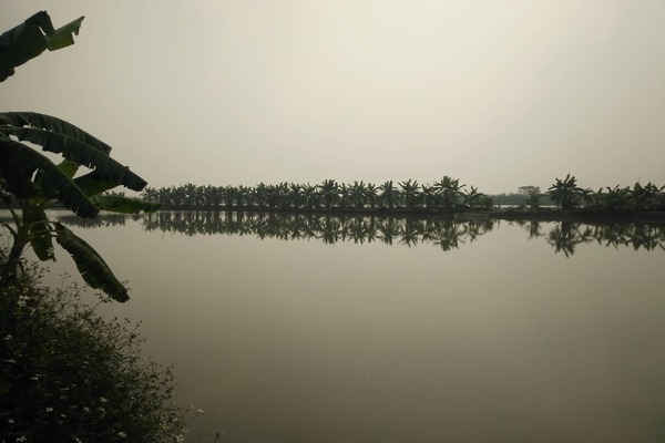 Gã đàn ông dìm chết ông lão đánh cá lĩnh án chung thân