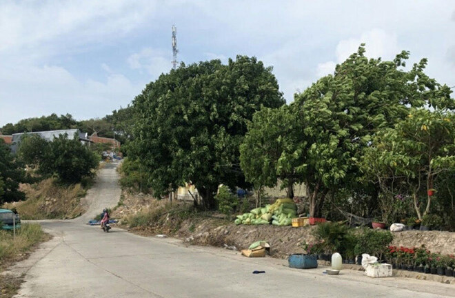 Chủ tịch tỉnh Kiên Giang bị yêu cầu kiểm điểm vì buông lỏng quản lý về đất đai 