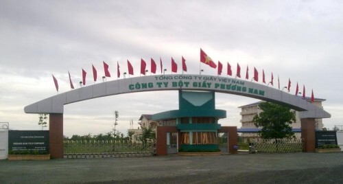 Nhà máy bột giấy ở Long An nợ đầm đìa, rao bán nhiều năm vẫn ế chỏng chơ