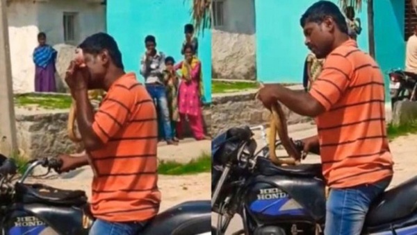 Tin tức đời sống mới nhất ngày 9/5/2020: Cắn rắn độc thành nhiều mảnh vì bị chặn đường