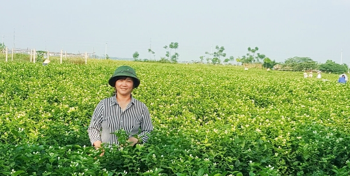 Đảng bộ xã Đông Xuân (Sóc sơn – Hà Nội): Thực hiện thắng lợi Nghị quyết đại hội Đảng bộ nhiệm kỳ 2015-2020