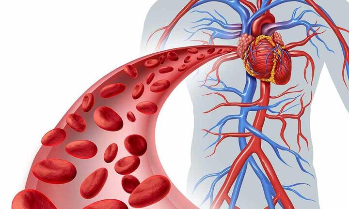 Triệu chứng rối loạn mỡ máu: bạn sẽ mắc phải nếu không thật sự hiểu về nó