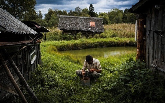 Tránh dịch Covid-19, nhiều cư dân trong thành phố ở Nga ra ngoại ô nuôi gà, trồng rau