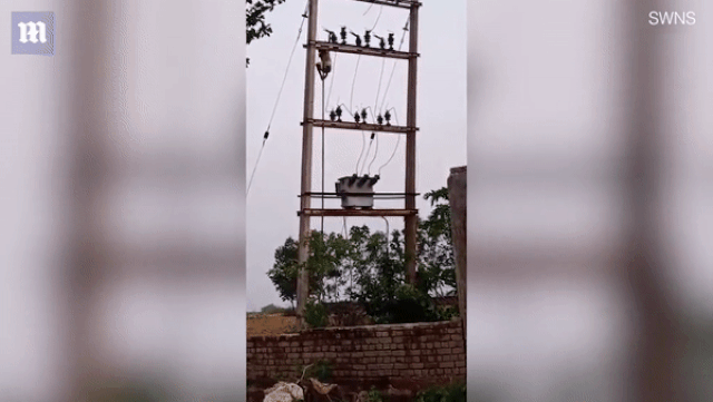 Tin tức đời sống mới nhất ngày 29/5/2020: 