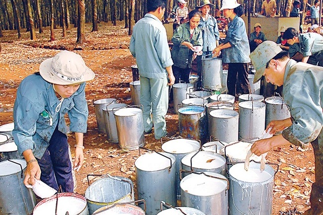 GVR cần thoái hơn 2.000 tỷ đồng vốn tại các đơn vị ngoài ngành