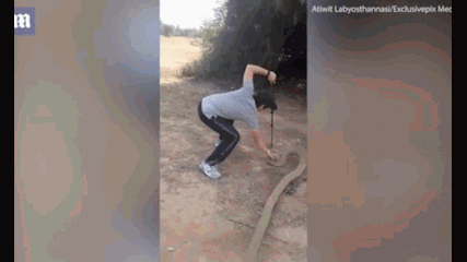 Video: Nam thanh niên tung 