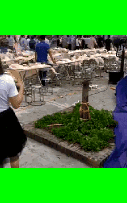 Video: Cô dâu chú rể cùng quan viên 2 họ ngẩn ngơ đứng nhìn rạp đám cưới bị thổi tung