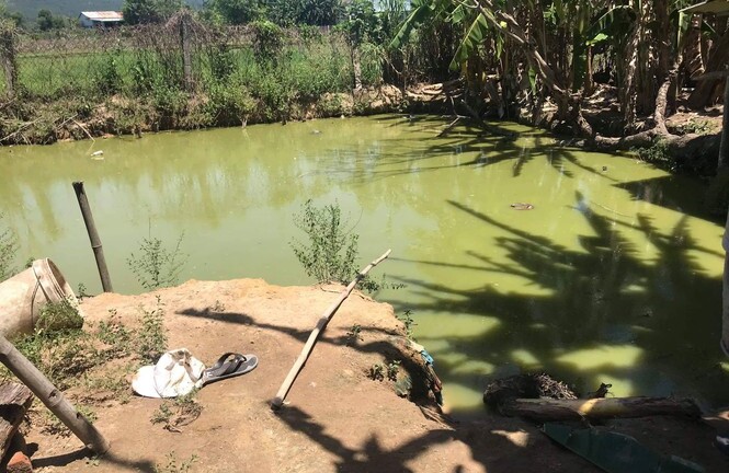 Kéo điện ra ao kích cá, hai cha con bị điện giật chết thương tâm