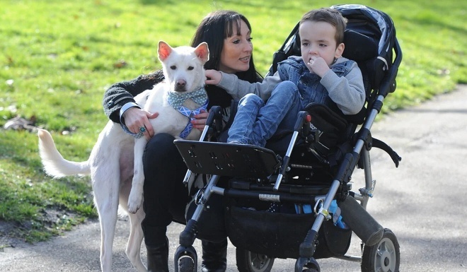 Tin tức đời sống mới nhất ngày 17/6/2020: Chồng đòi ly hôn vì vợ lười tắm rửa