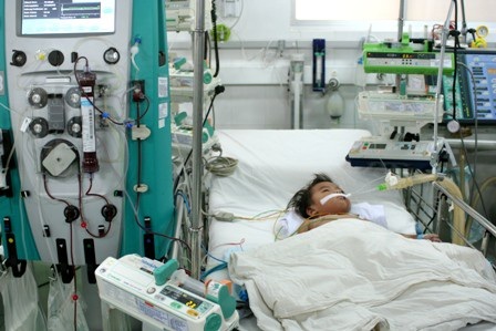 Liên tiếp nhiều bệnh nhi nguy kịch vì bố mẹ tin dùng thuốc Nam theo lời đồn