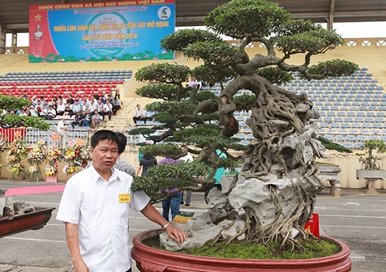 Đại gia Toàn 