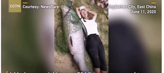 Video: Ngư dân thích thú bắt được cá trắm đen 