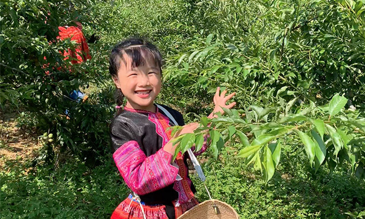 Cô bé 6 tuổi nói tiếng Anh như người bản ngữ, các mẹ 