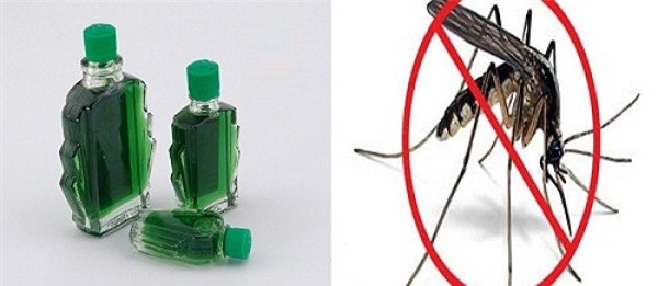 Không phải nhang hay thuốc diệt độc hại, đây mới là thứ bạn cần để đuổi sạch muỗi một cách an toàn