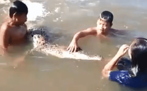 Video: Đám trẻ vô tư nghịch ngợm hàm răng cá sấu, ai xem cũng phải rùng mình