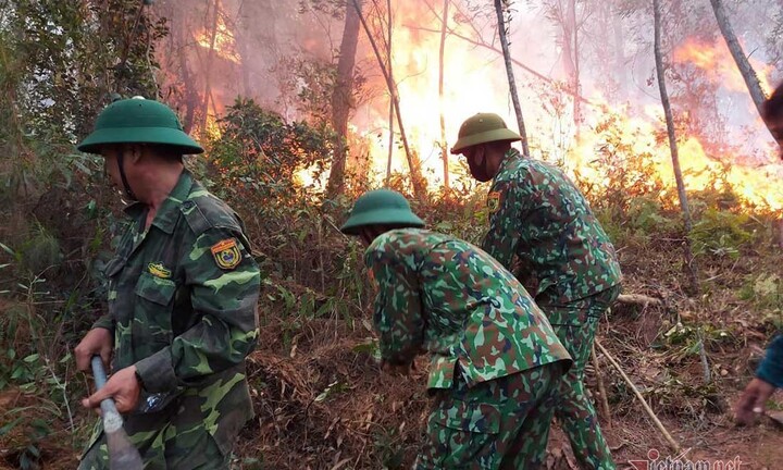 Nghệ An: Rừng thông bốc cháy ngùn ngụt giữa trưa nắng nóng