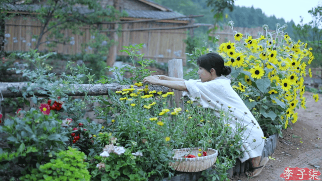 Tin tức đời sống mới nhất ngày 12/7/2020: Lý Tử Thất tung vlog tự tay làm khu vườn đẹp như tiên cảnh