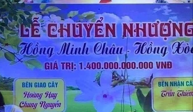 Lan đột biến tiền tỷ: Tiềm năng ngành mới hay giao dịch
