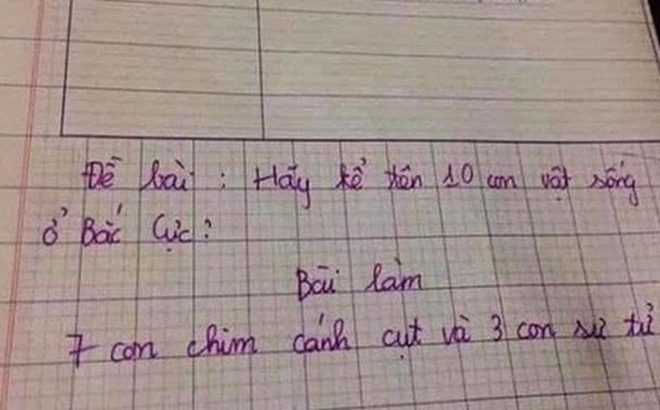  Đọc đáp án bài kiểm tra Sinh học có 