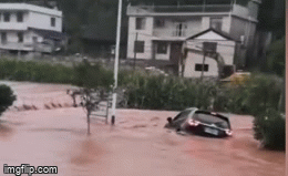 Video: Thót tim nhìn tài xế cố gắng thoát ra khỏi ô tô trước khi bị nước lũ 