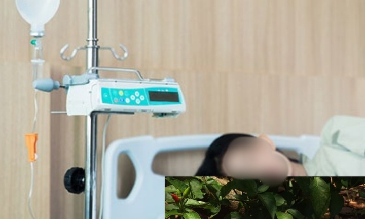 Sự thật rợn người “cải tử hoàn sinh” bằng thực dưỡng (Bài 1):