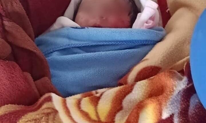 Ra thăm ruộng khoai nước, tá hỏa phát hiện bé gái sơ sinh bị bỏ rơi giữa trời nóng 40 độ