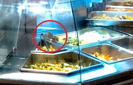 Chuột bò trong quầy ẩm thực, AEON Việt Nam nói gì?