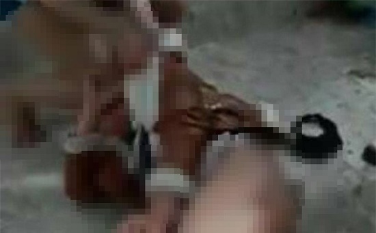 Tin tức pháp luật mới nhất ngày 13/8/2020: Xác minh thông tin thiếu nữ 17 tuổi bị lột áo đánh ghen