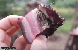 Video: Sởn da gà cảnh giòi bò lúc nhúc trong món ăn đặc sản hút khách ở Philippines