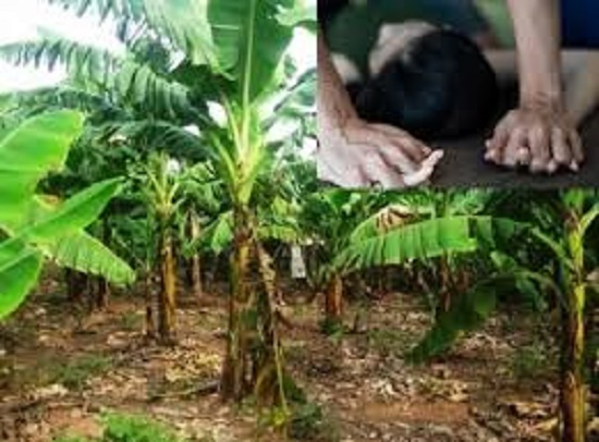 Tin tức pháp luật mới nhất ngày 28/8/2020: Đặc điểm nhận dạng kẻ hiếp dâm bé gái trong vườn chuối ở Hà Nội