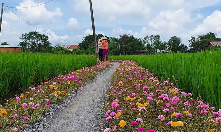 Đẹp rụng rời trước những đường hoa chống xả rác ở TP.HCM