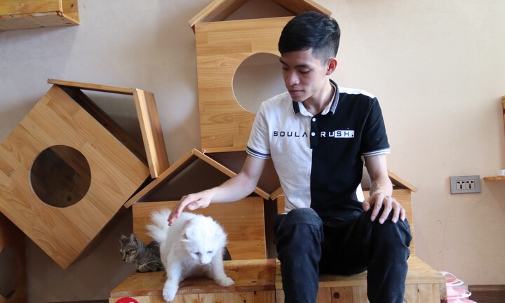 Chàng trai cứu mèo từ tay 