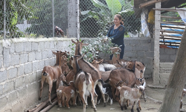 Agribank cùng ngành Ngân hàng hiện thực hóa Chiến lược tài chính toàn diện quốc gia