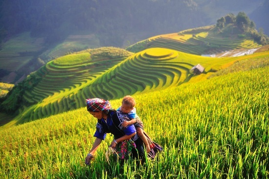 Chuẩn bị kích cầu lần 2: rộn rã săn tour, combo du lịch mùa thu