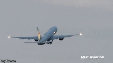 Vieo: Khoảnh khắc chim đâm 