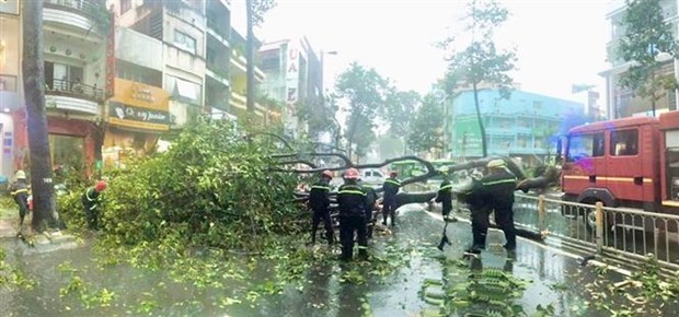 Tin tức đời sống mới nhất ngày 26/9/2020: Nạn nhân bị cây bật gốc đè lên người đã tử vong