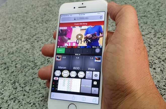 Tin tức pháp luật mới nhất ngày 18/10/2020: Vong Thiếu Hào cầm đầu ổ đá gà online qua điện thoại là ai?