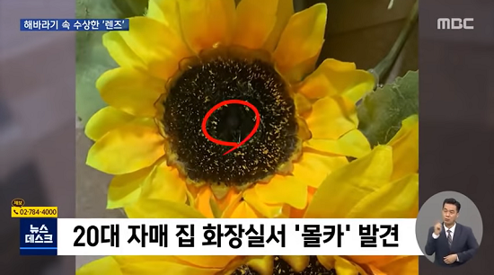 Phát hiện vật thể