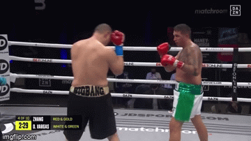 Võ sĩ Trung Quốc tung chiêu 