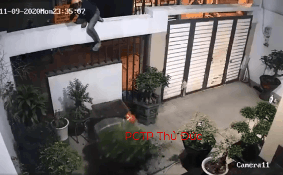 Video: Màn trộm cây bonsai chuyên nghiệp chỉ trong 1 phút, dân mạng tròn mắt kinh ngạc