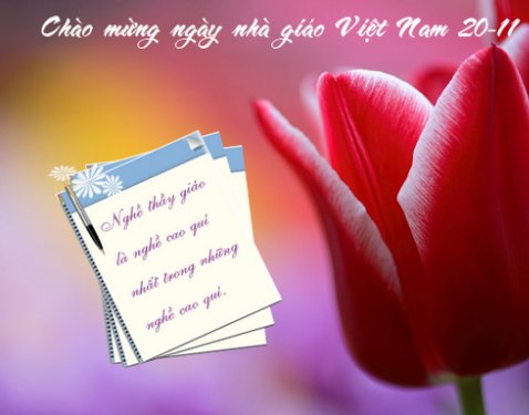 Những bài phát biểu ngày 20/11 cho học sinh hay và ý nghĩa nhất