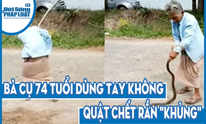Video: Bà cụ 74 tuổi dùng tay không quật chết rắn 