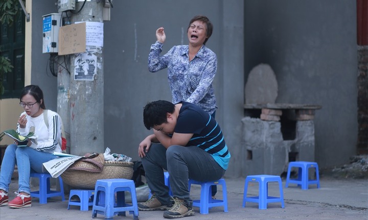 Nghệ sĩ Lê Hồ Lan: Lúc trẻ cháy với nghề, xế chiều sống nhà thuê cùng 5 chú chó