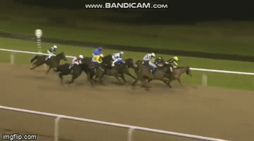 Video: Vận động viên đua ngựa thoát chết