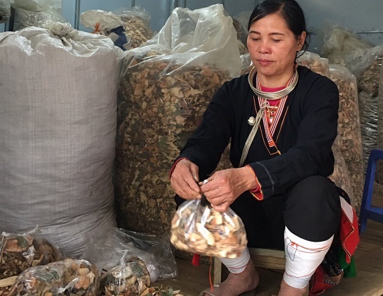 Cuộc đời gắn với bài thuốc chữa khỏi đau nhức xương khớp của người dân vùng cao