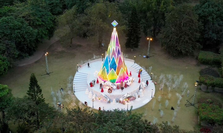 Du khách rần rần đổ về check in cây măng Noel siêu độc đáo tại Ecopark