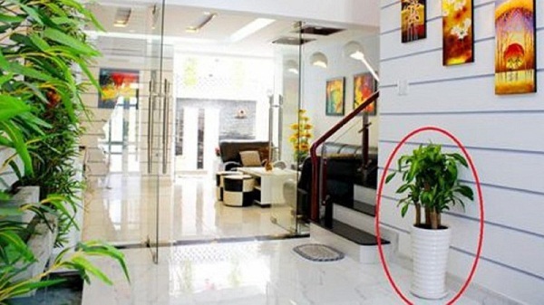 Cuối năm Canh Tý, đừng quên làm 4 điều này khi dọn nhà để tài lộc đua nhau