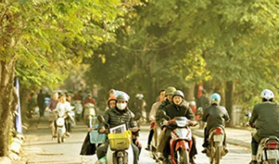 Dự báo thời tiết mới nhất hôm nay 3/1: Miền Bắc ấm dần sau chuỗi ngày rét tê tái